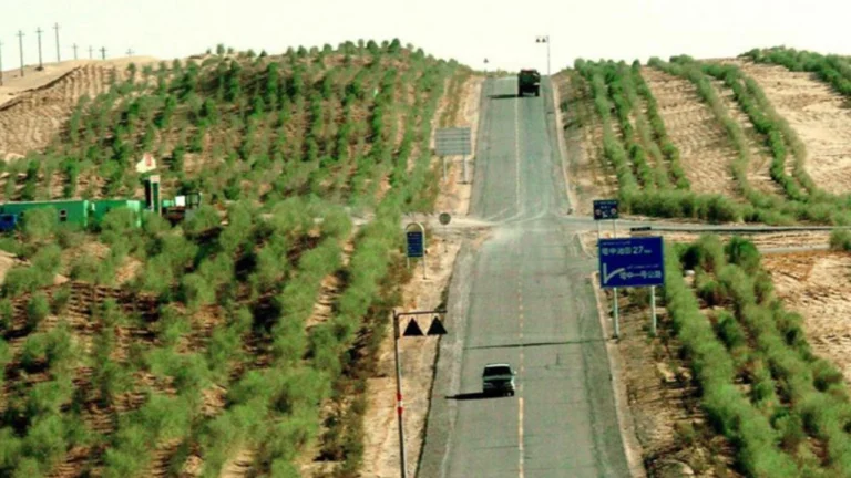 China Great Green Wall