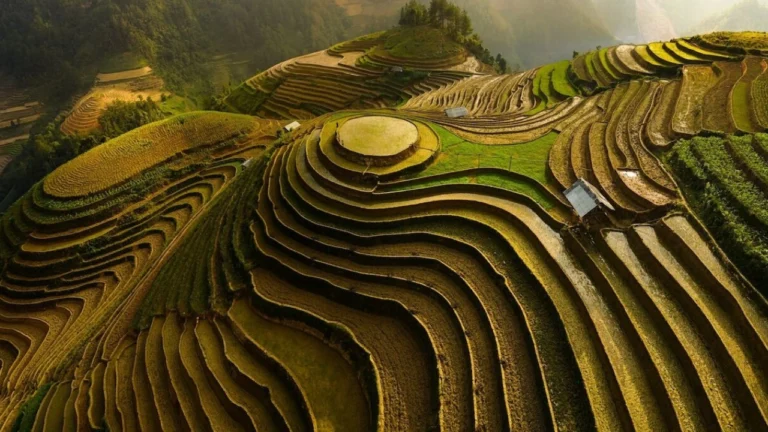 Mountain Terracing Farming