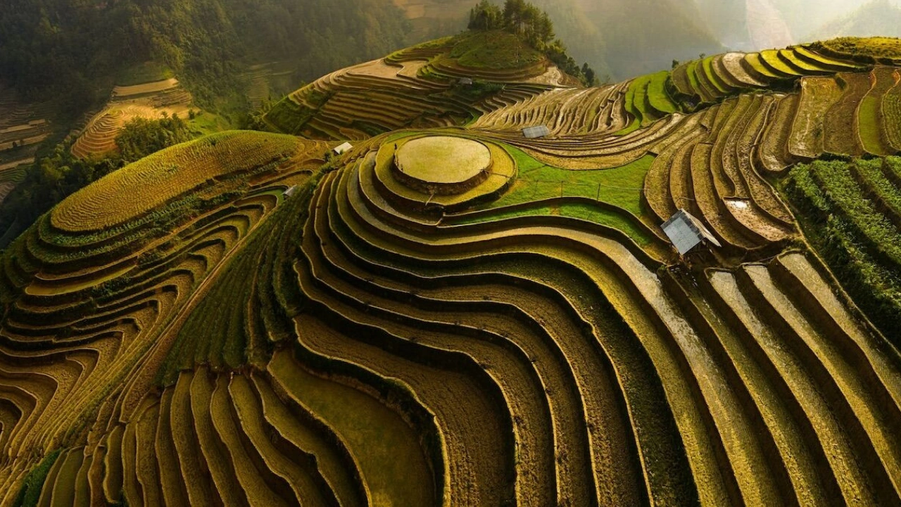 Mountain Terracing Farming