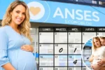 Pagos y Bonos ANSES 2026