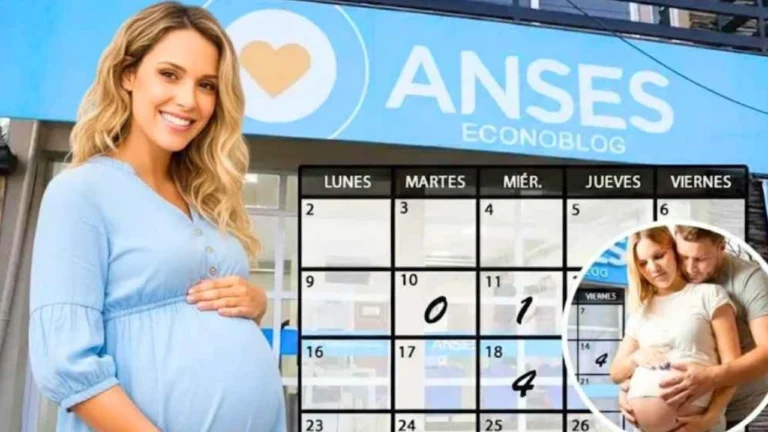 Pagos y Bonos ANSES 2026