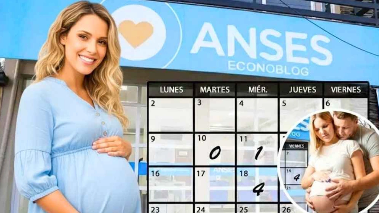 Pagos y Bonos ANSES 2026