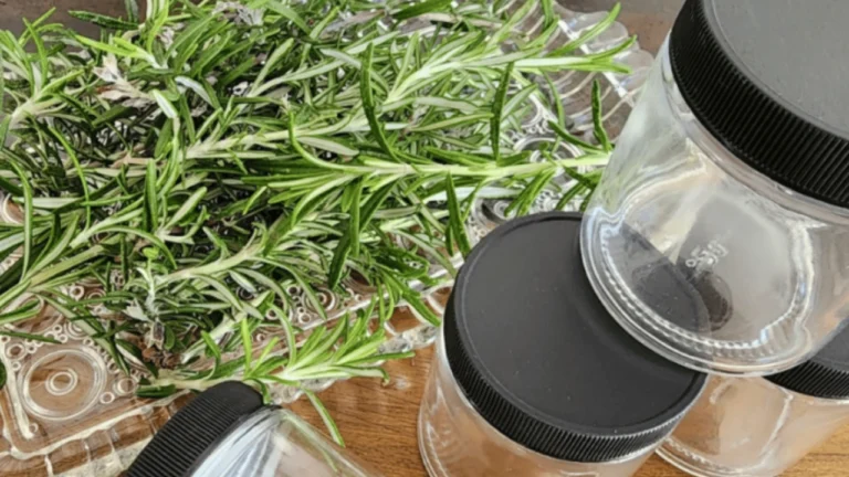 Rosemary and coarse salt: why you should keep them together in a jar indoors